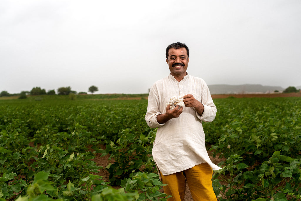 The Sustainability of Organic Cotton: Benefits for the Environment, People, and Communities