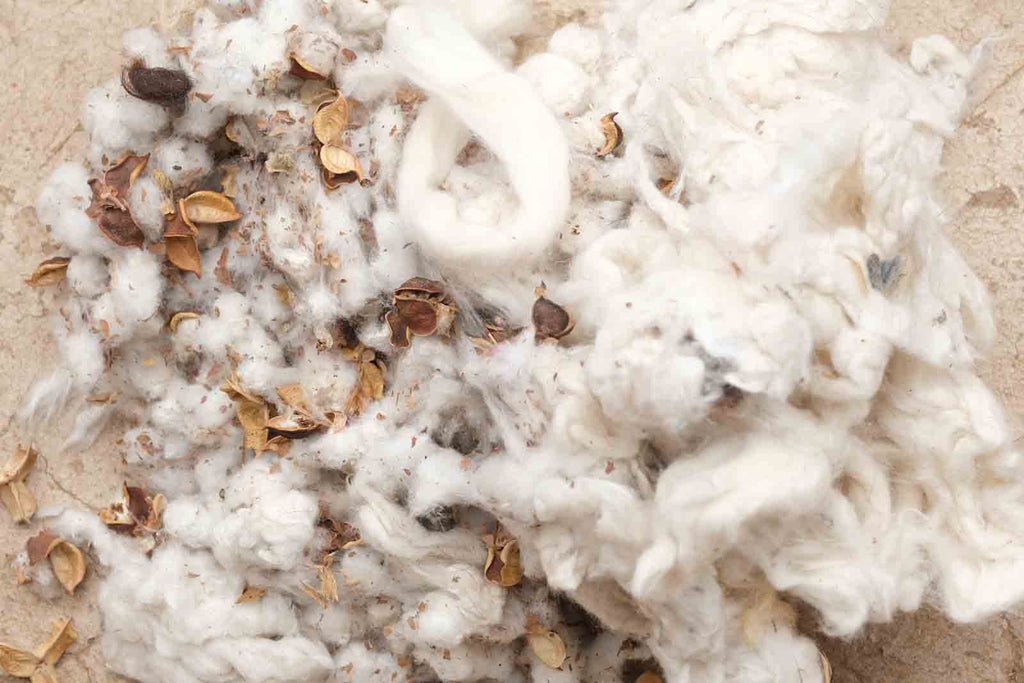What is the Global Organic Textile Standard?